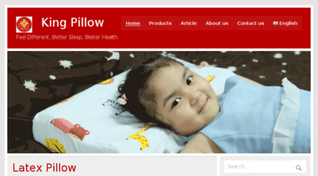king-pillow.com