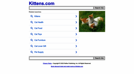 kittens.com