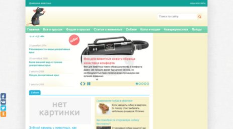 krisa.org.ua