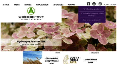 kurowski.pl