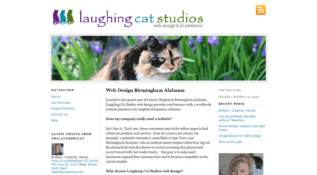 laughingcatstudios.com