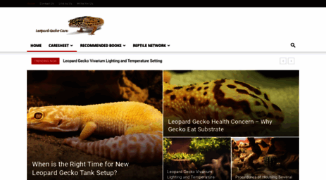 leopardgeckocare.net
