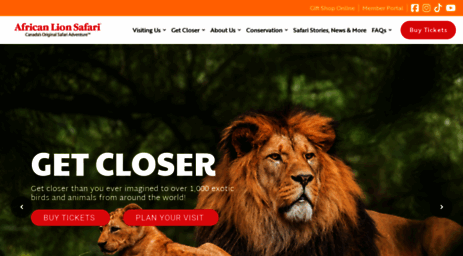 lionsafari.com