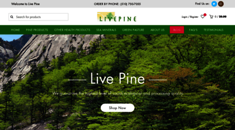 livepine.com