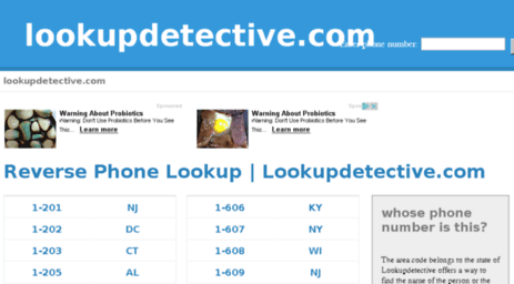 lookupdetective.com