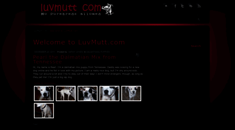luvmutt.com