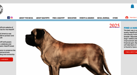 mastiff.org