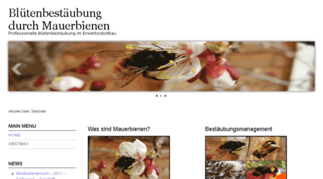 mauerbienen-im-erwerbsobstbau.de