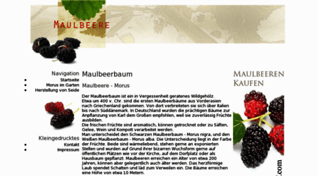 maulbeerbaum.org