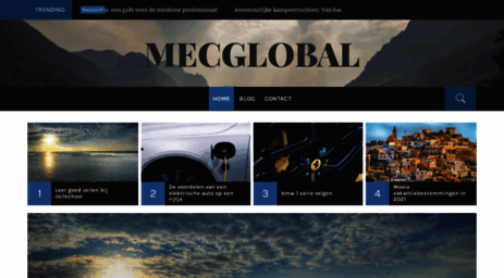 mecglobal.nl