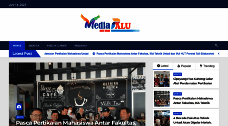 mediapalu.com