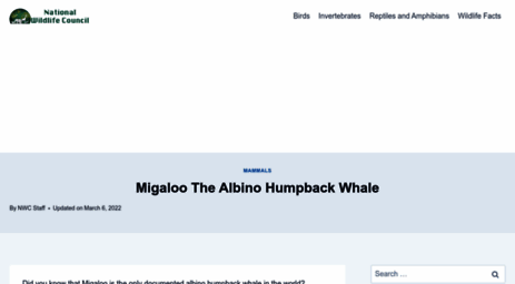 migaloowhale.org