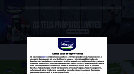 mimosa.com.pt