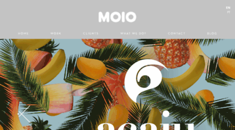moio.com.br