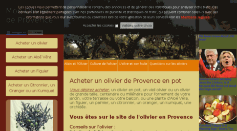 mon-olivier-de-provence.com