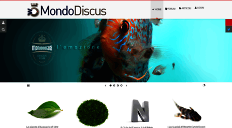 mondodiscus.com