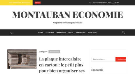 montauban-economie.com