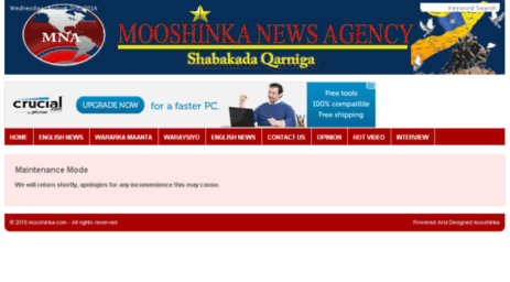 mooshinka.com