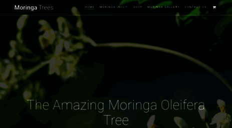 moringatrees.org