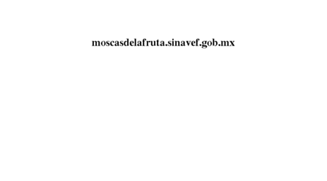 moscasdelafruta.sinavef.gob.mx