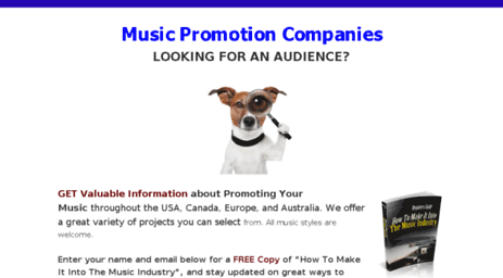 musicpromotioncompanies.net