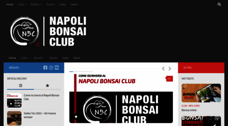 napolibonsaiclub.it