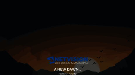 netvisionweb.com