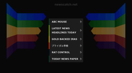 newscatch.net