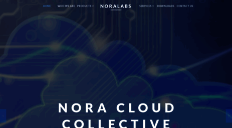 noralabs.com