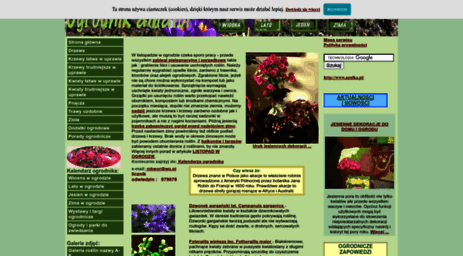 ogrod-amat.strefa.pl