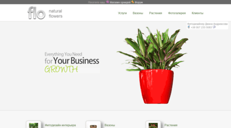 orhideya-internet-magazin.flo.com.ua