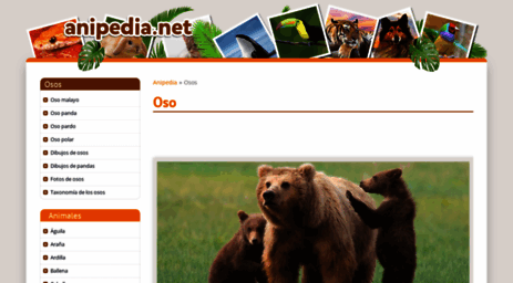 osos.anipedia.net