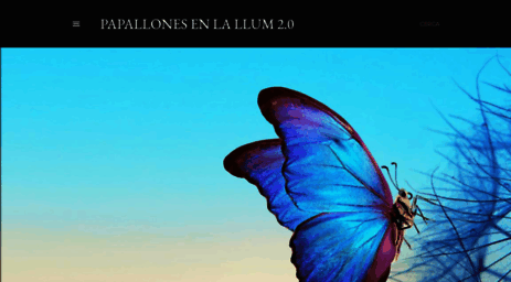papallonesenlallum.blogspot.com