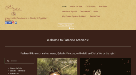 paradisearabians.com
