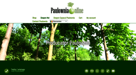 paulowniaonline.net