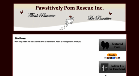 pawsitivelypom.rescuegroups.org