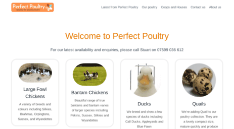 perfectpoultry.co.uk