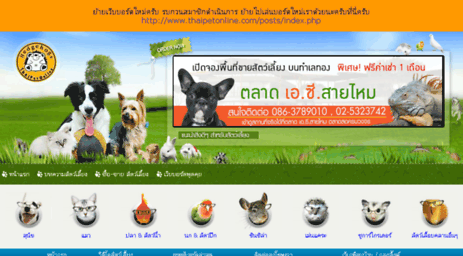pets.thaipetonline.com