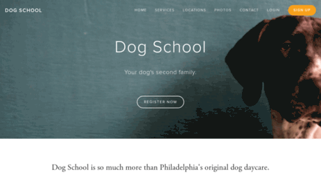 phillydogschool.com