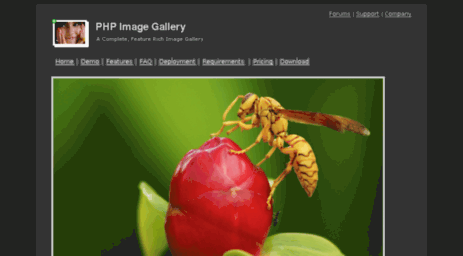 phpimagegallery.com