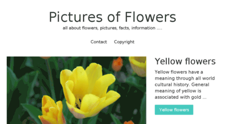 pictures-flowers.com