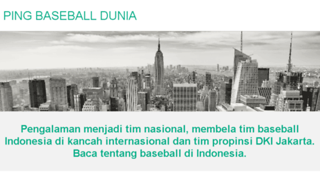 pingbaseball.com
