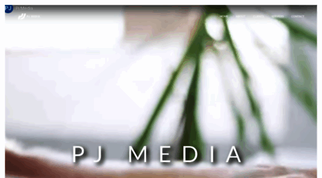 pjmedia.co.uk