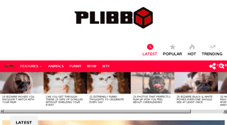 plibb.com
