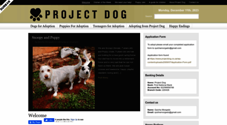 projectdog.co.za