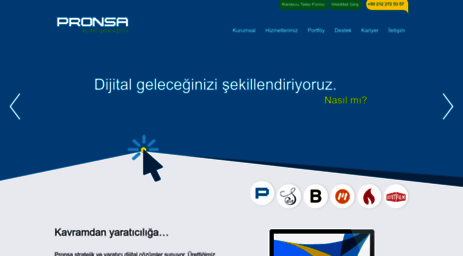 pronsa.com