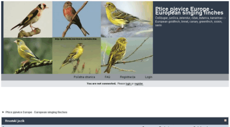 ptice-birds.your-board.com