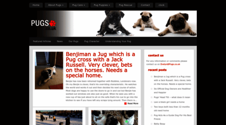 pugs.co.uk