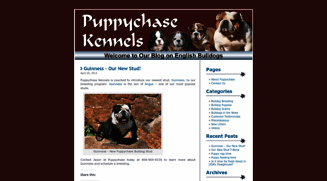 puppychase.wordpress.com