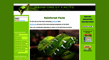 rainforest-facts.com